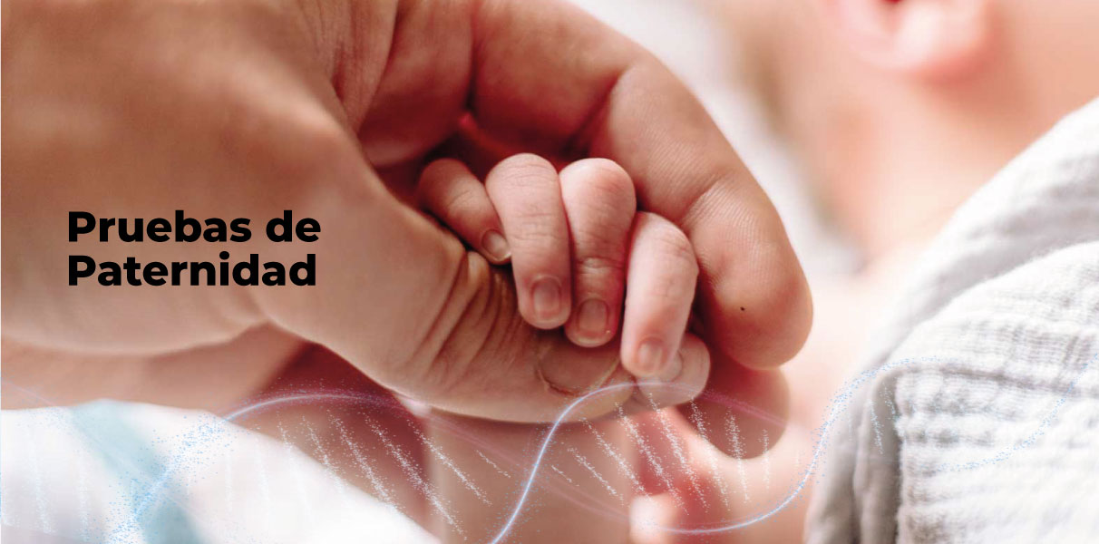 paternidad
